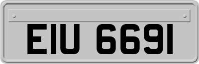 EIU6691