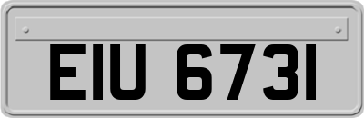 EIU6731