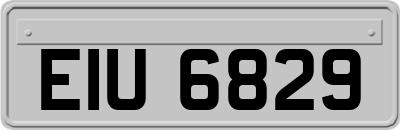 EIU6829