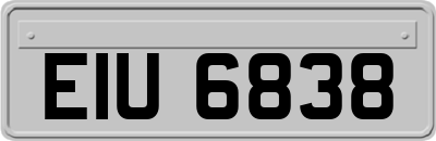 EIU6838