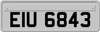 EIU6843