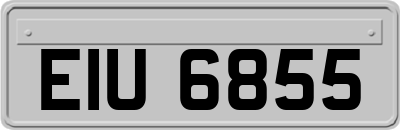 EIU6855