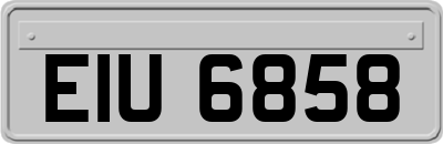 EIU6858