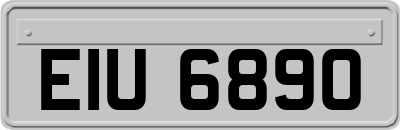 EIU6890