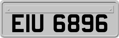 EIU6896