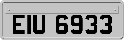 EIU6933