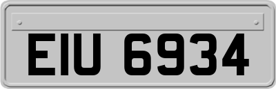 EIU6934