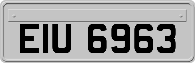 EIU6963