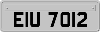 EIU7012
