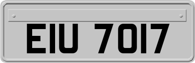 EIU7017