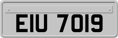EIU7019