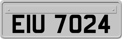 EIU7024