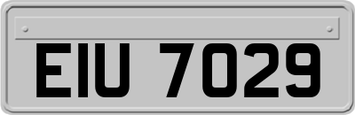 EIU7029