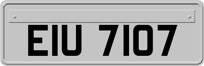 EIU7107
