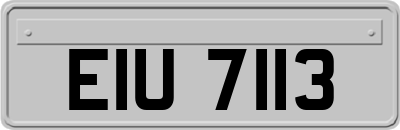 EIU7113