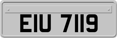 EIU7119