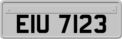 EIU7123