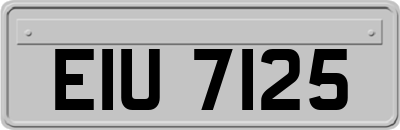 EIU7125