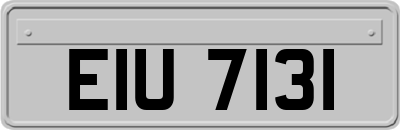 EIU7131