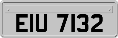 EIU7132