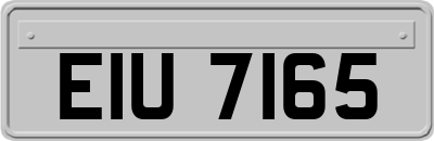 EIU7165