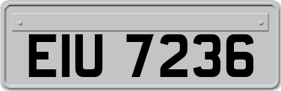 EIU7236