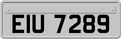 EIU7289