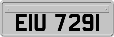 EIU7291