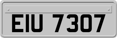 EIU7307