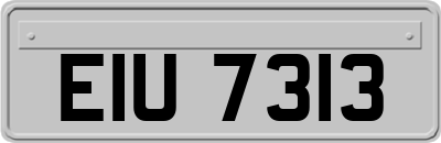 EIU7313