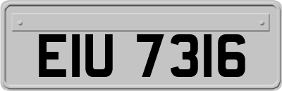 EIU7316
