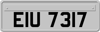 EIU7317