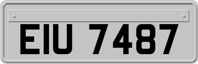 EIU7487
