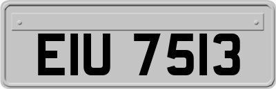 EIU7513