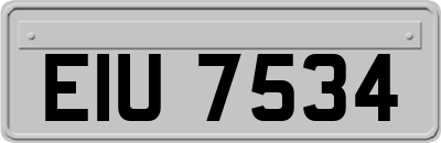 EIU7534