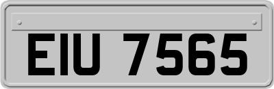 EIU7565