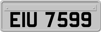 EIU7599