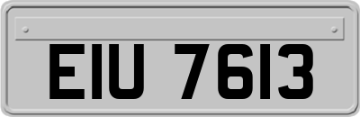 EIU7613