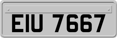 EIU7667