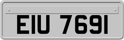 EIU7691