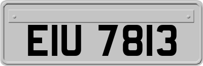 EIU7813