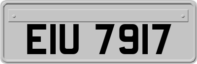 EIU7917