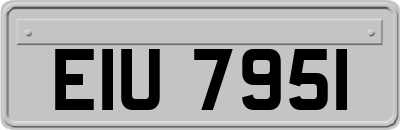 EIU7951