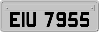 EIU7955