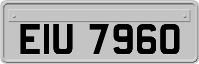 EIU7960