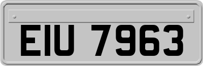 EIU7963