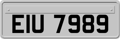 EIU7989