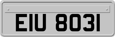 EIU8031