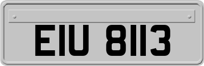 EIU8113