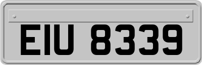 EIU8339
